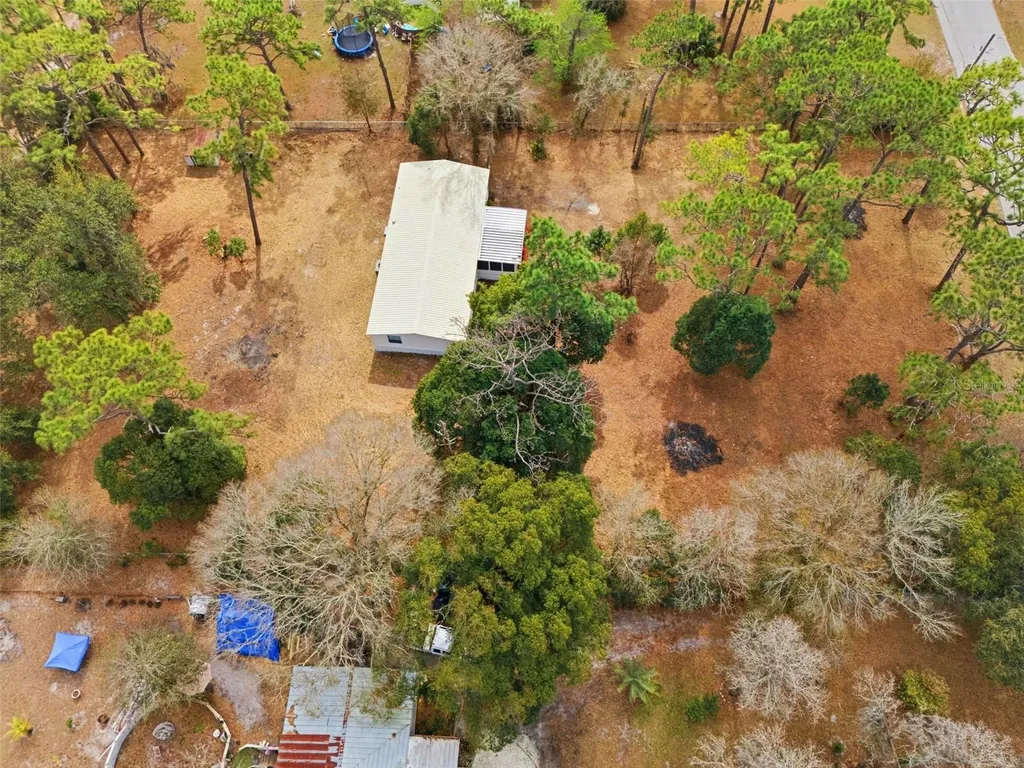 3906 Fox Ridge Boulevard Wesley Chapel FL 33543