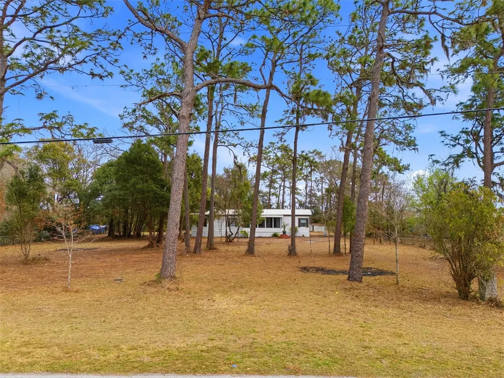 3906 Fox Ridge Boulevard Wesley Chapel FL 33543