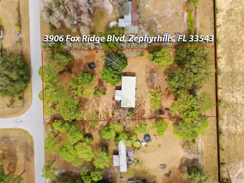 3906 Fox Ridge Boulevard Wesley Chapel FL 33543