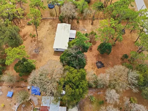 3906 Fox Ridge Boulevard Wesley Chapel FL 33543