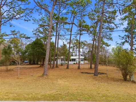 3906 Fox Ridge Boulevard Wesley Chapel FL 33543