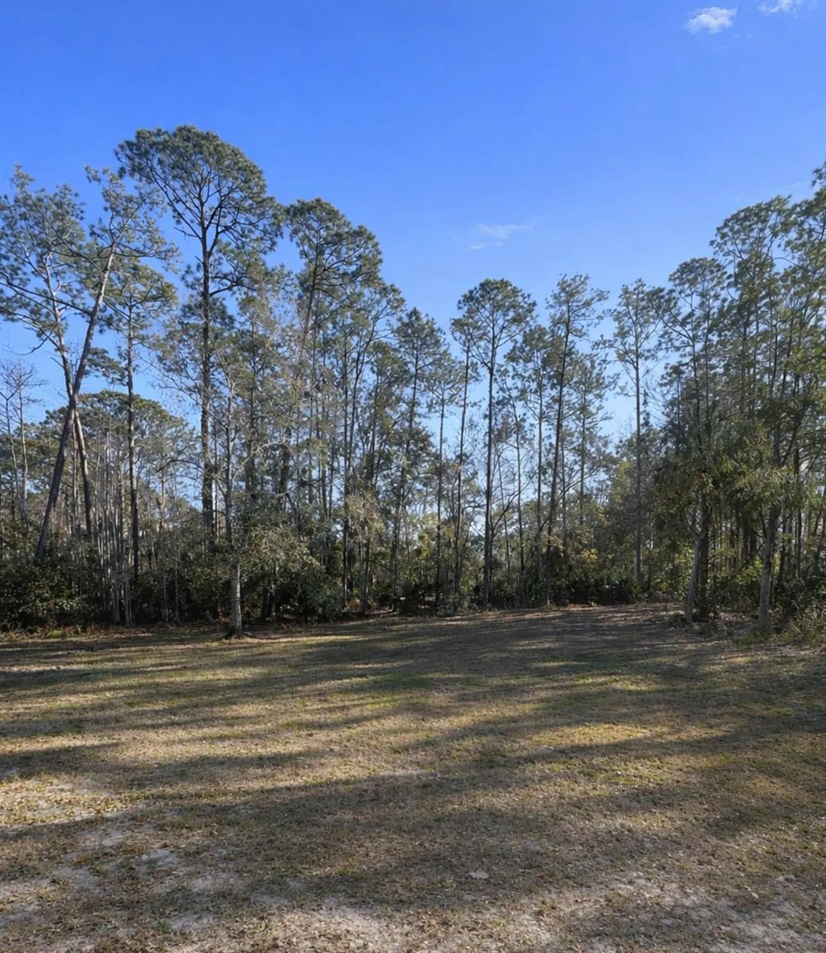 425 Western Road New Smyrna Beach FL 32168