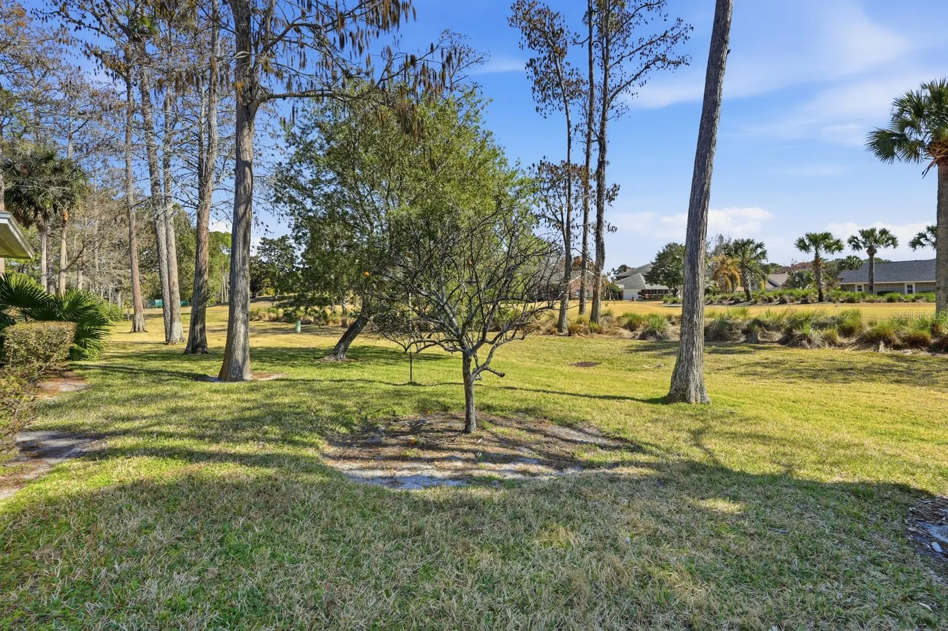 38 Treetop Circle Ormond Beach FL 32174