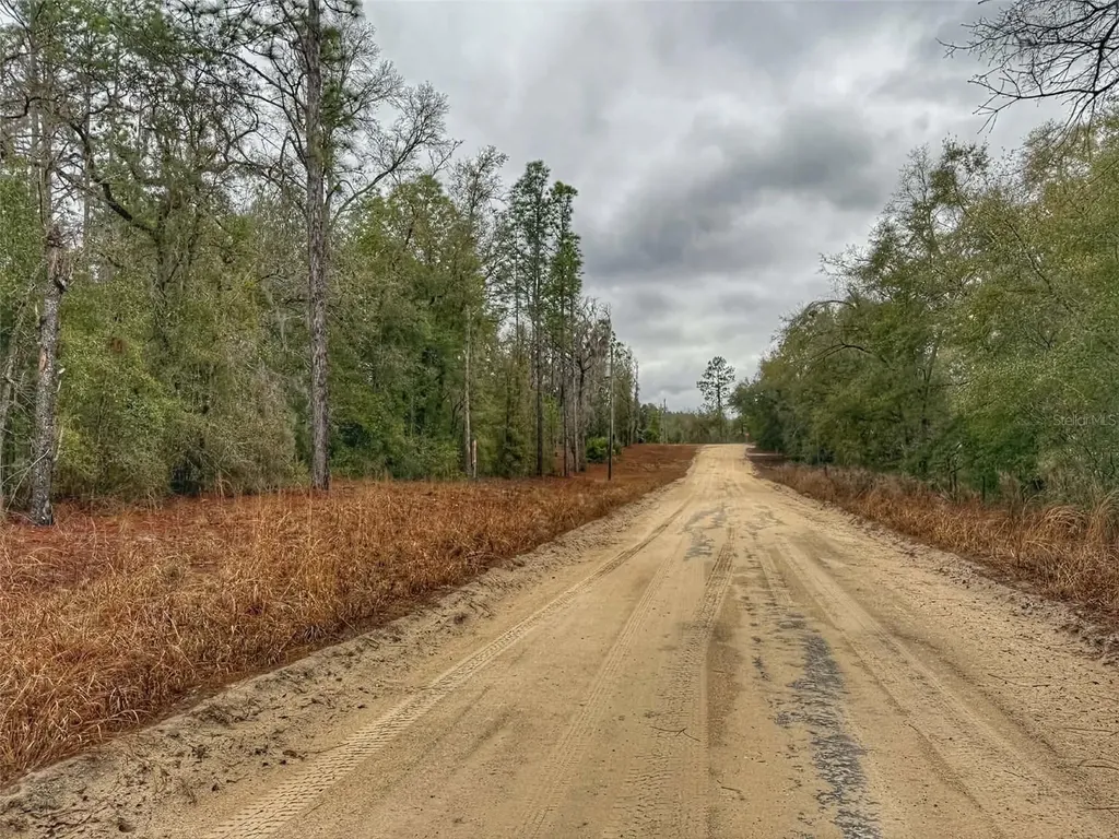 Tbd NW NW 18 Terrace Bell FL 32619
