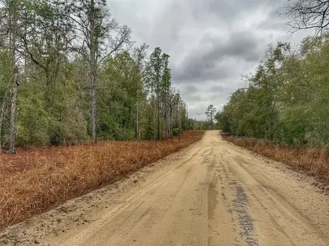 Tbd NW NW 18 Terrace Bell FL 32619