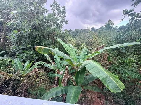 108 Calle Porvenir Comunidad Reparto Macías Bo Limón Mayaguez PR 00680