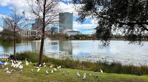 701 Mirror Lake Drive N St Petersburg FL 33701