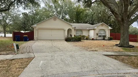 204 Lace Bark Court Minneola FL 34715
