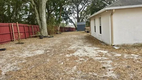 204 Lace Bark Court Minneola FL 34715