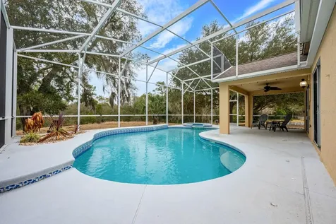 30218 Pga Drive Sorrento FL 32776