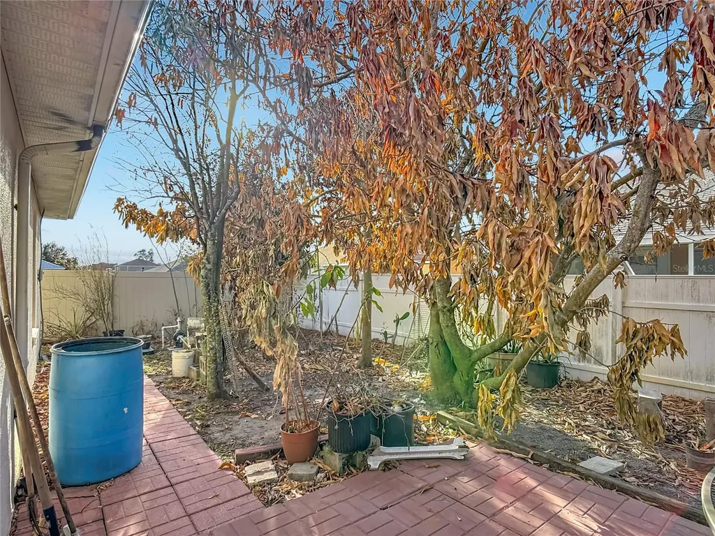 1910 Dolphin Drive Kissimmee FL 34759