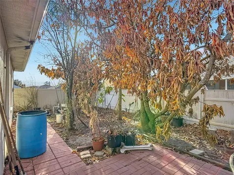 1910 Dolphin Drive Kissimmee FL 34759