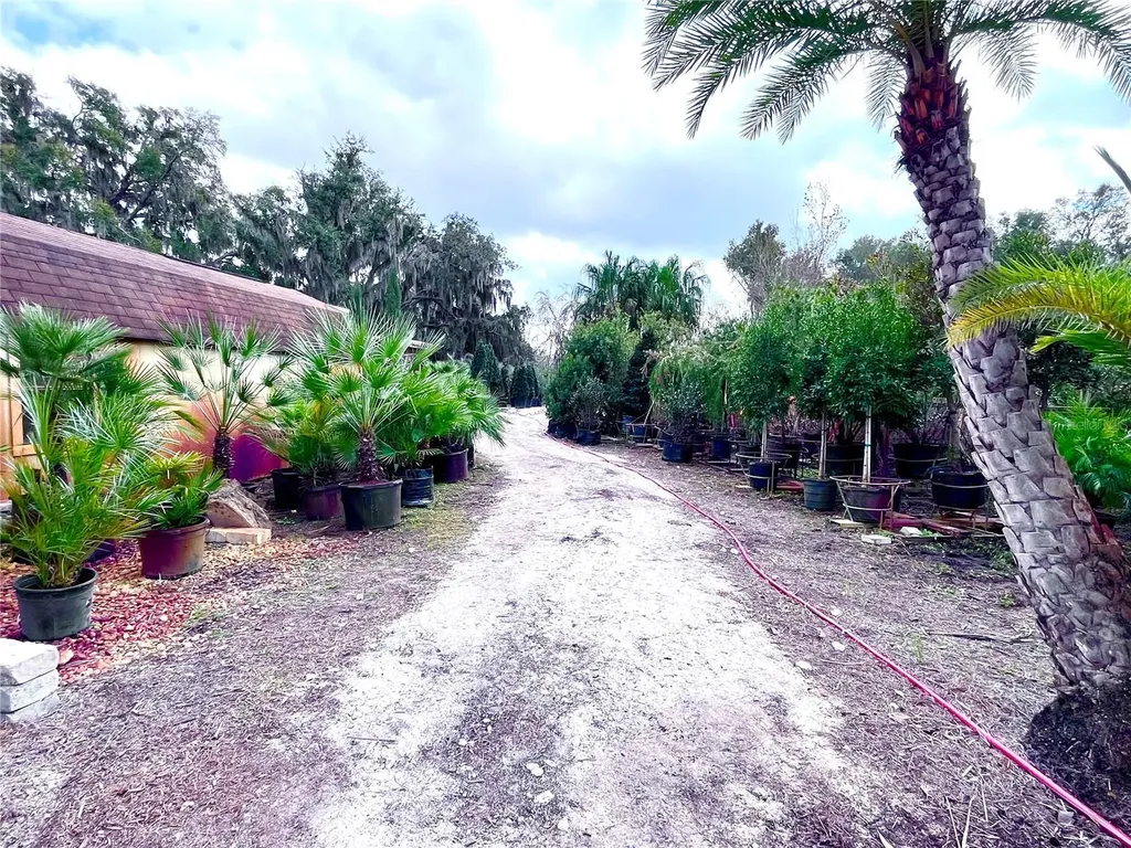 8440 County Road 48 Yalaha FL 34797