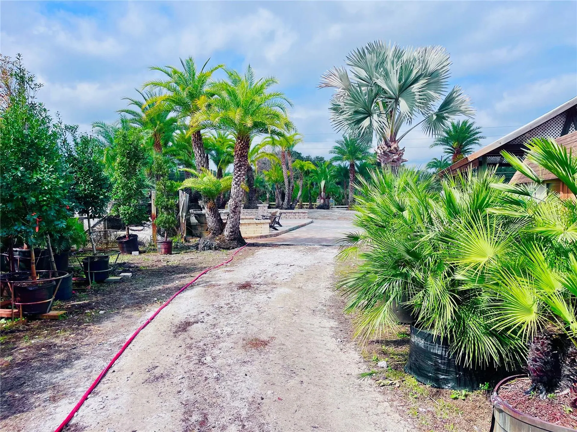 8440 County Road 48 Yalaha FL 34797