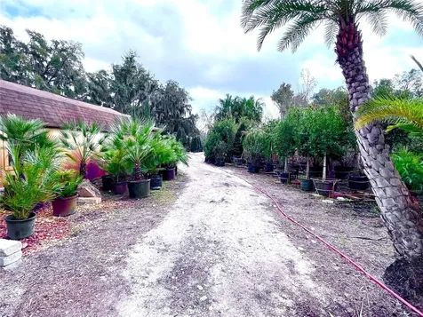 8440 County Road 48 Yalaha FL 34797