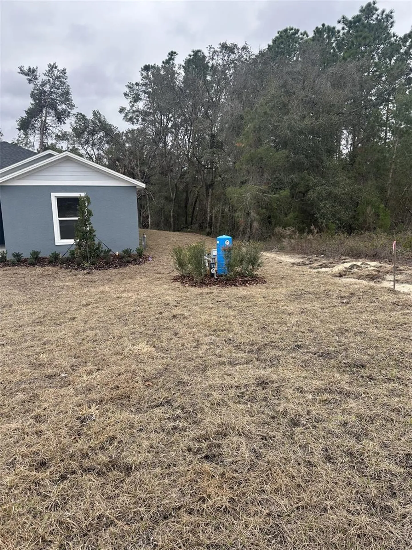 8934 SW 135th Street Ocala FL 34473