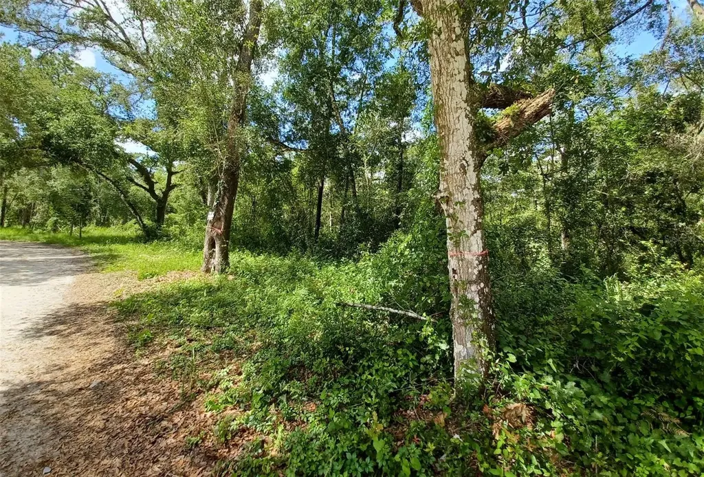 40TH Webster FL 33597