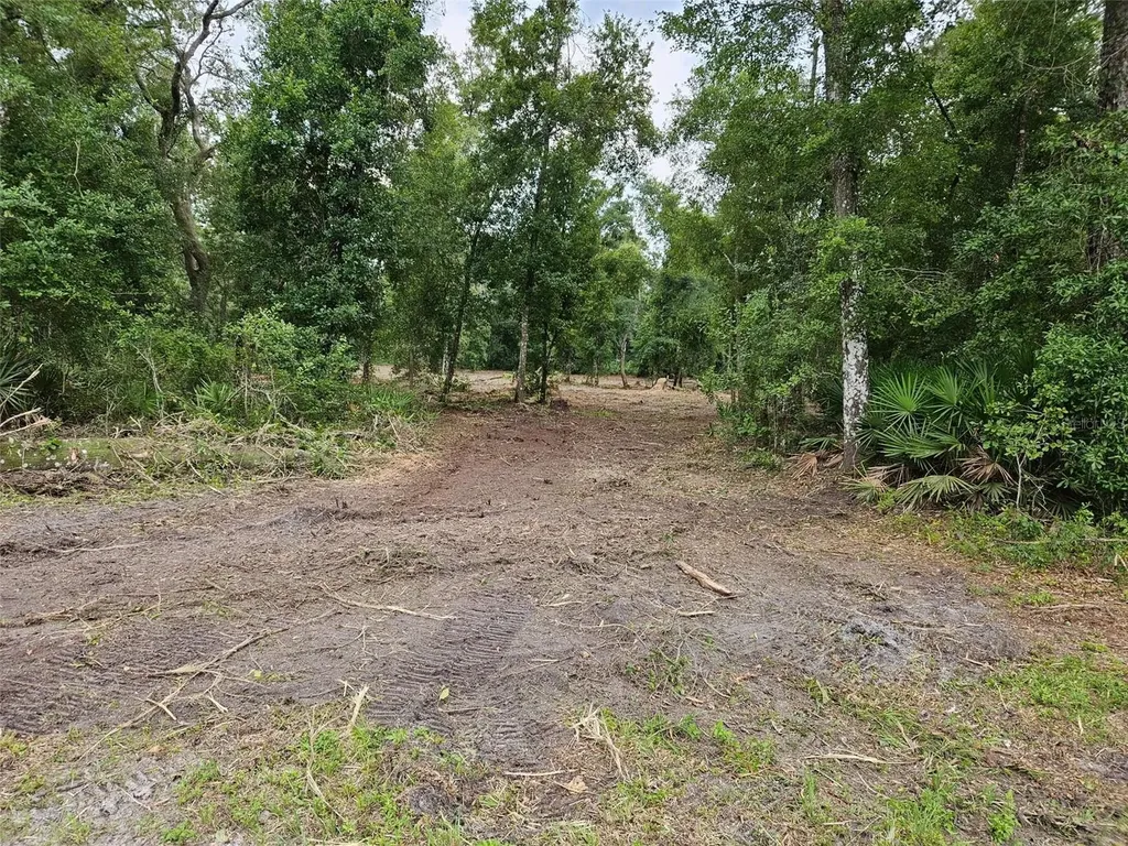 40TH Webster FL 33597
