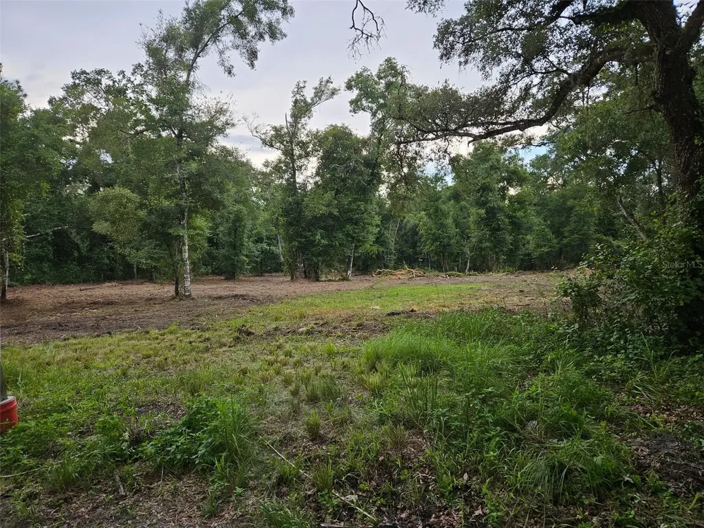 40TH Webster FL 33597