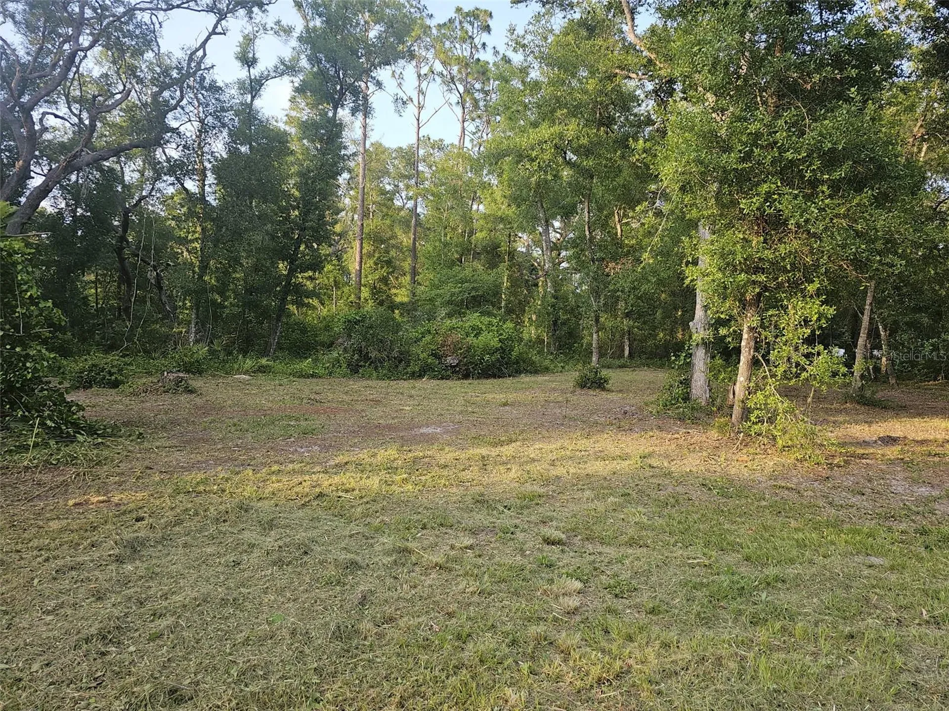 40TH Webster FL 33597