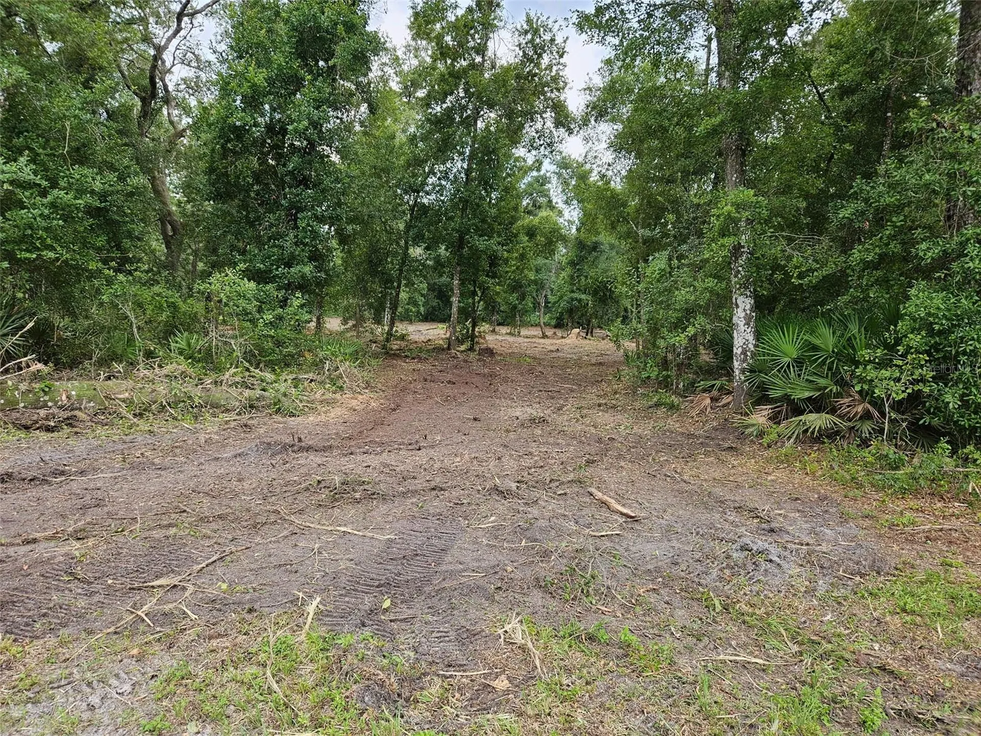 40TH Webster FL 33597
