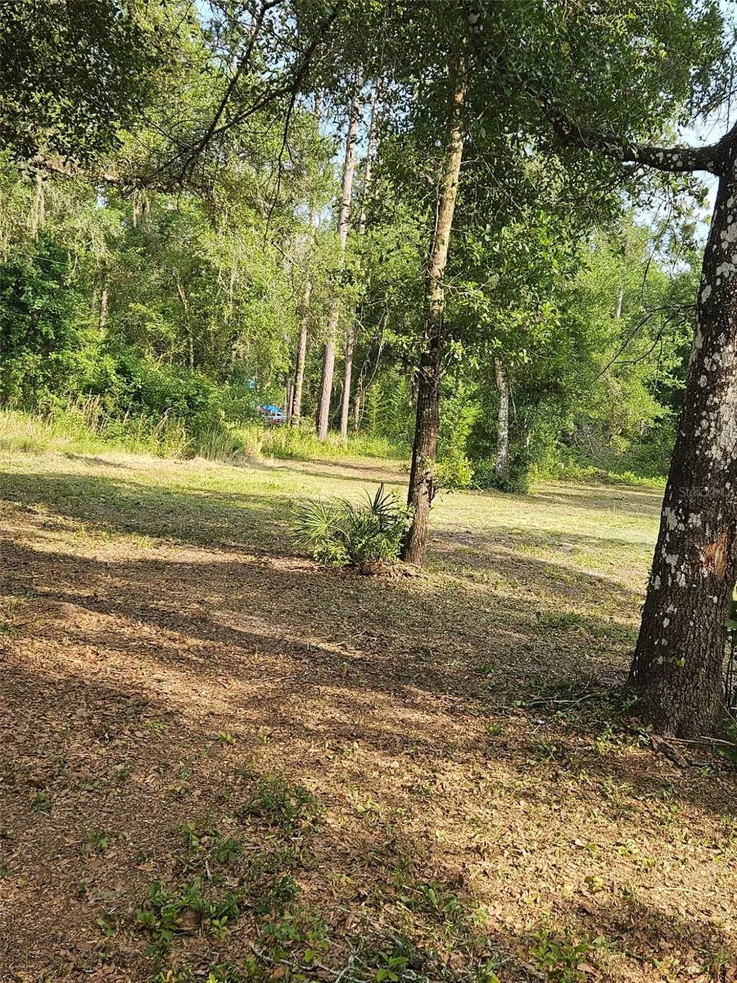 40TH Webster FL 33597