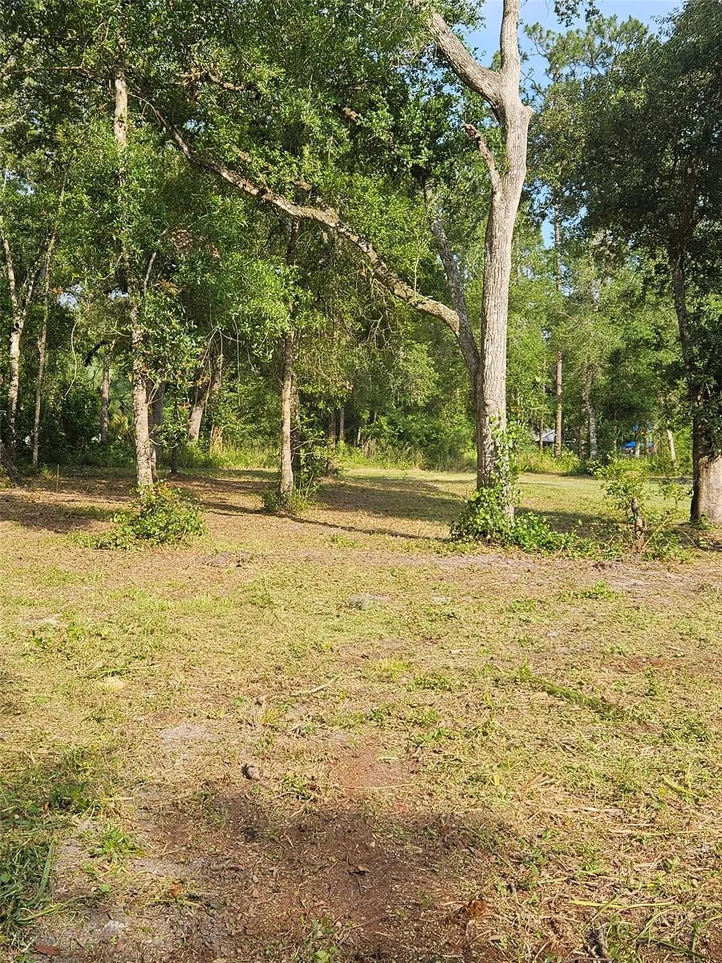 40TH Webster FL 33597