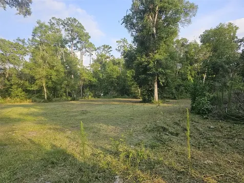 40TH Webster FL 33597