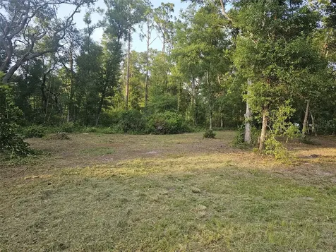 40TH Webster FL 33597