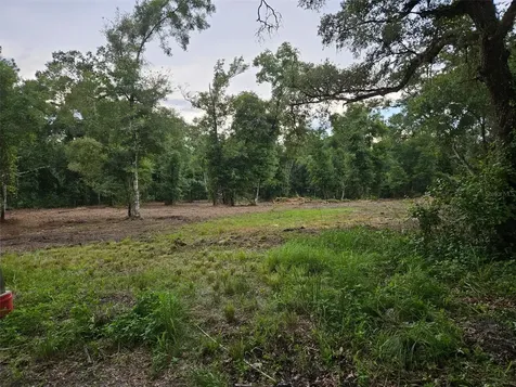 40TH Webster FL 33597