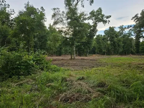 40TH Webster FL 33597