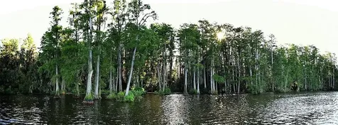 2014 Bates Avenue Eustis FL 32726