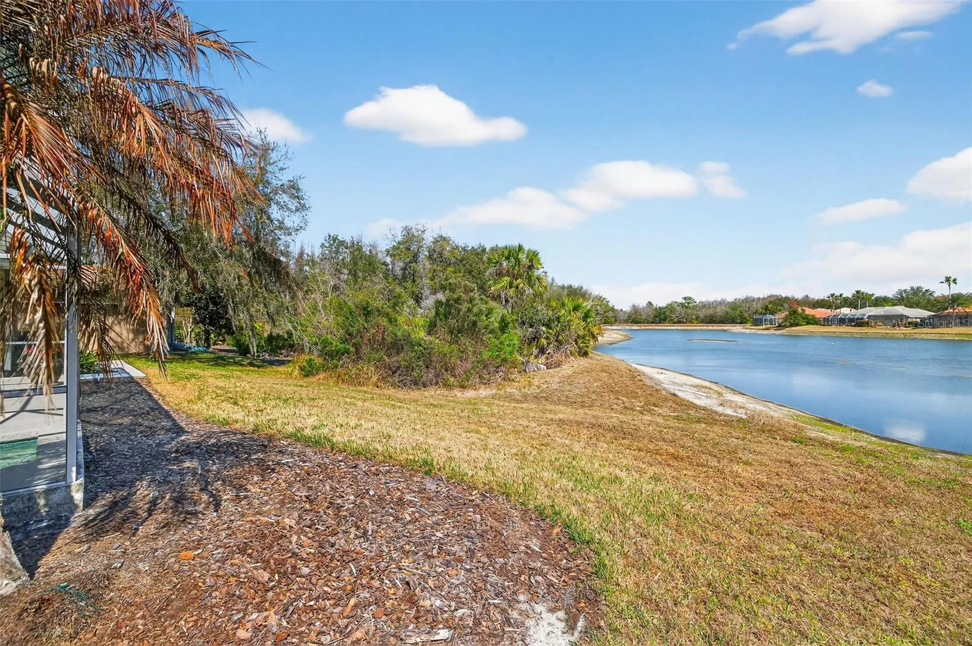 10228 Estuary Drive Tampa FL 33647