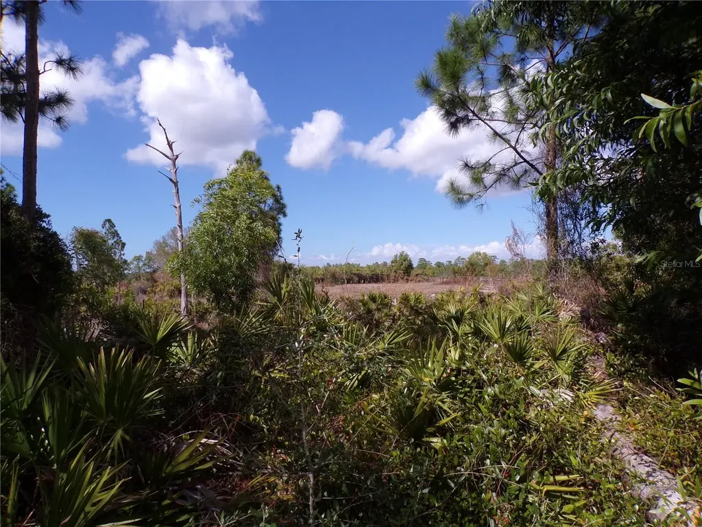 12253 Green Gulf Boulevard Punta Gorda FL 33955