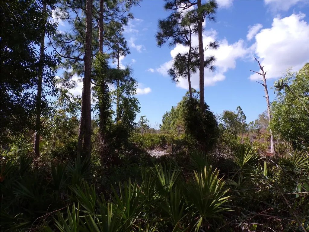 12253 Green Gulf Boulevard Punta Gorda FL 33955