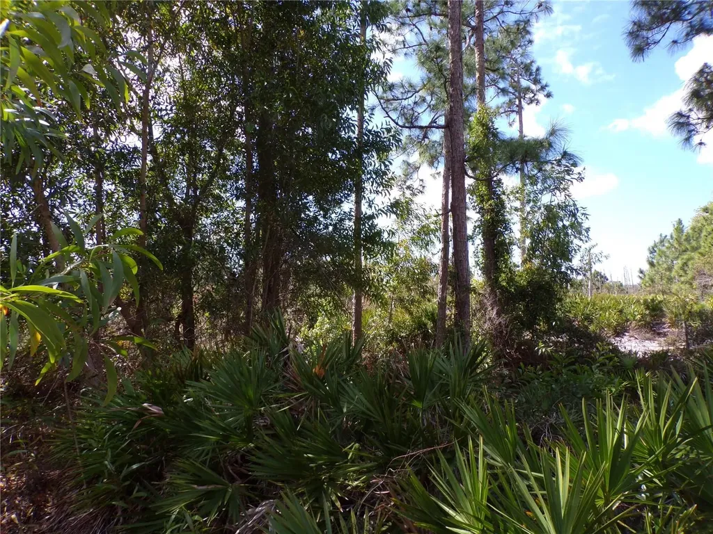 12253 Green Gulf Boulevard Punta Gorda FL 33955