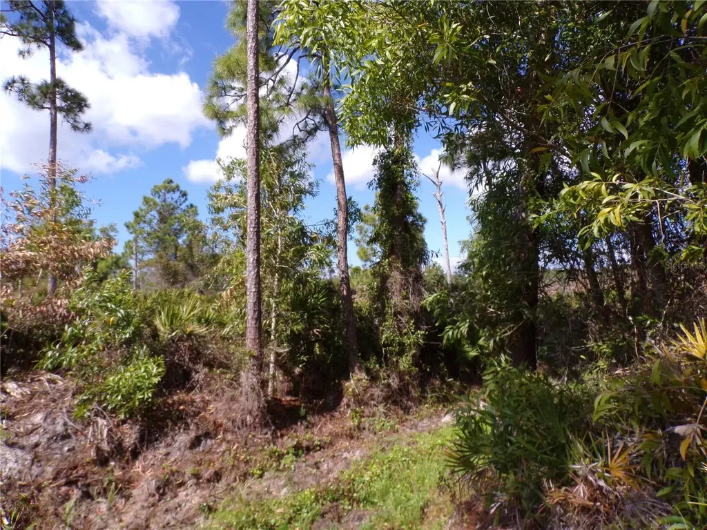 12253 Green Gulf Boulevard Punta Gorda FL 33955