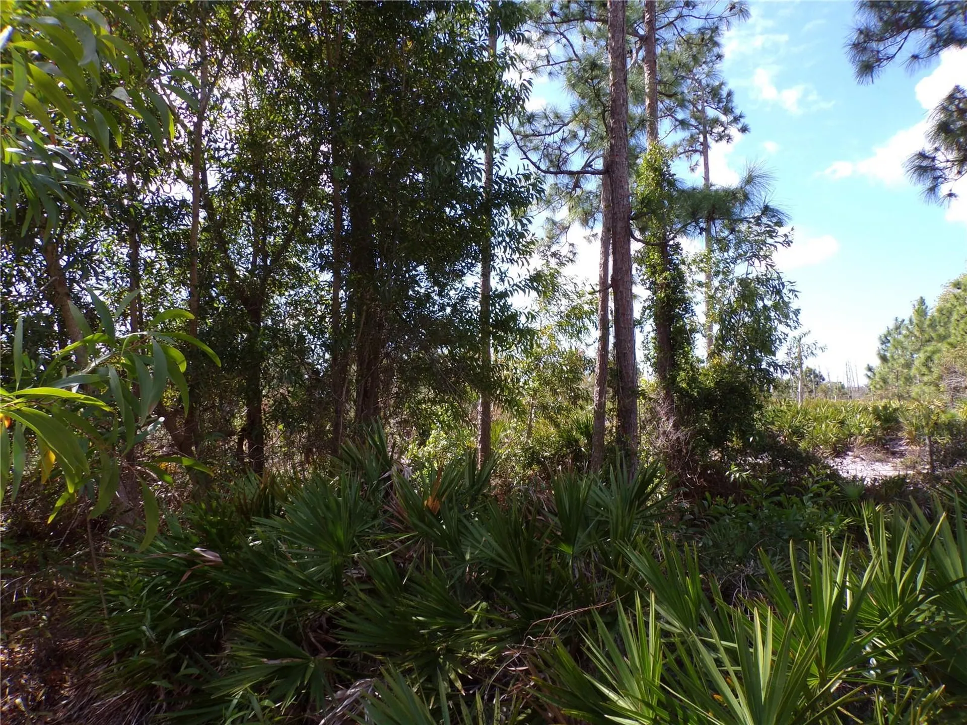 12253 Green Gulf Boulevard Punta Gorda FL 33955
