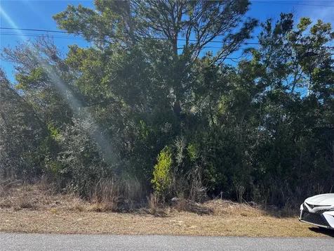 2293 Marietta Avenue Spring Hill FL 34608