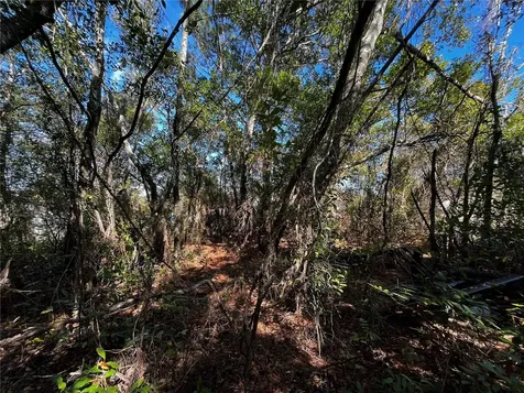 2293 Marietta Avenue Spring Hill FL 34608
