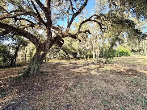 5666 S Florida Avenue Floral City FL 34436