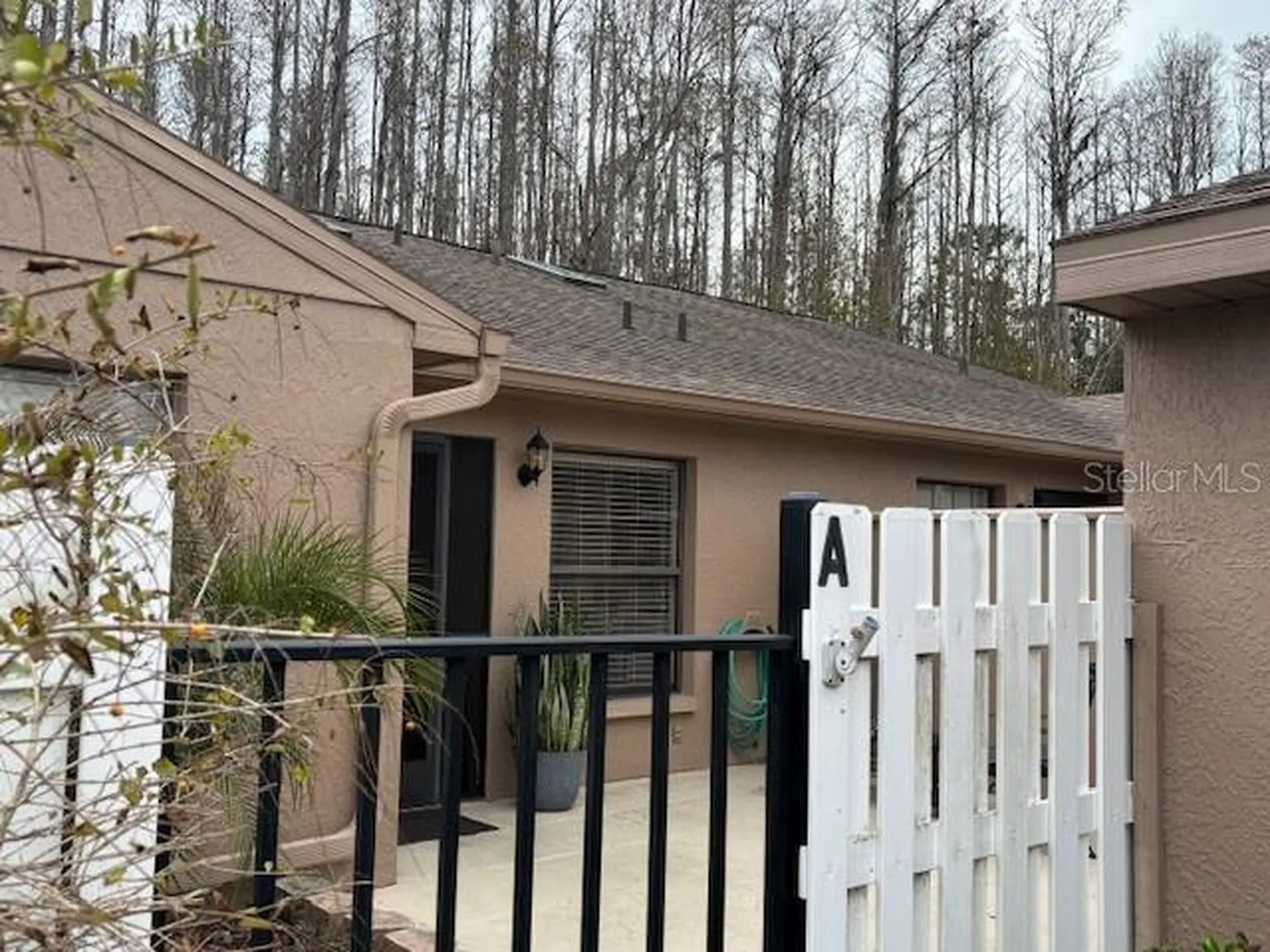 3182 Charter Club Drive Tarpon Springs FL 34688