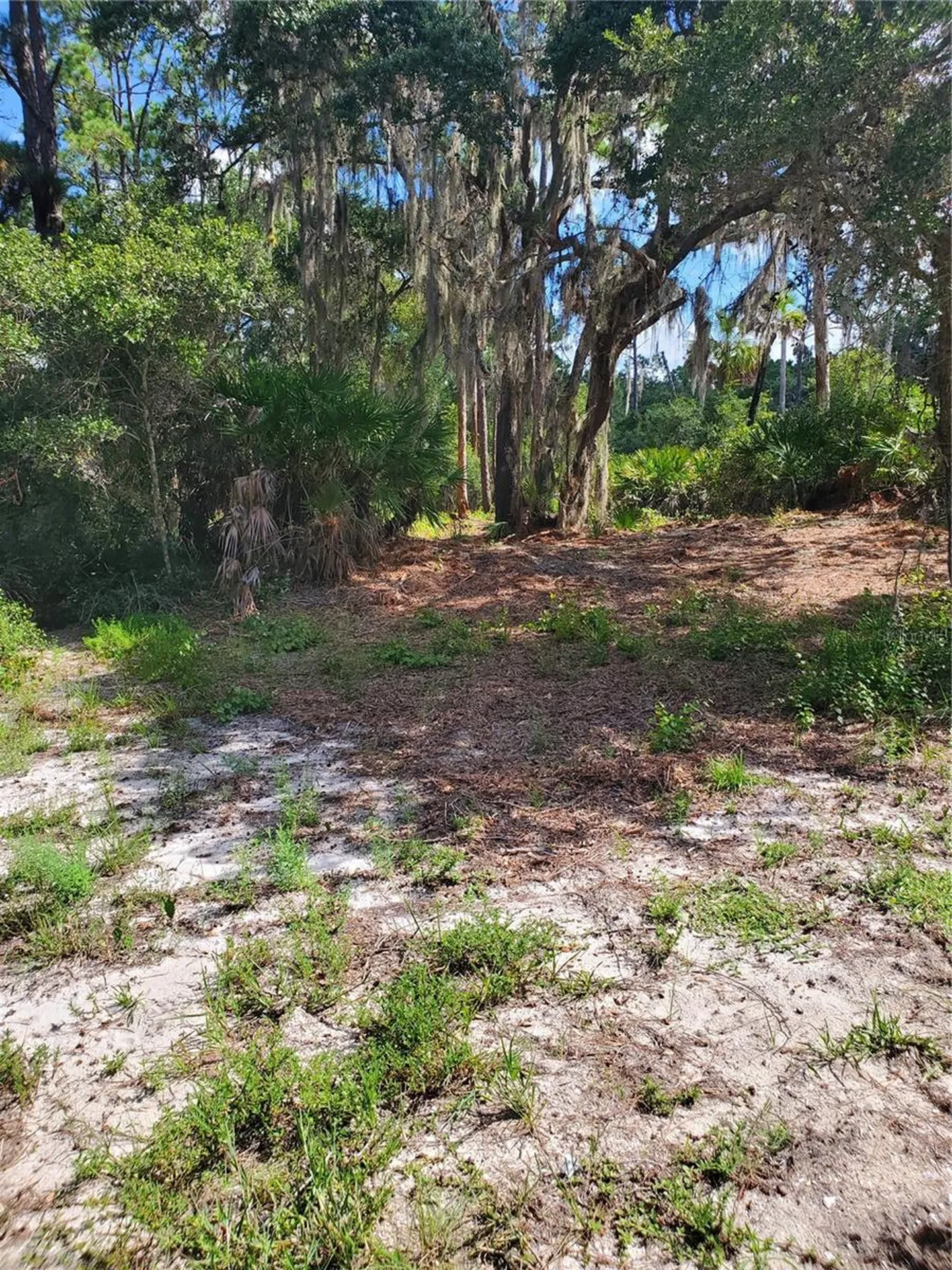 17122 Arthur Avenue Port Charlotte FL 33948