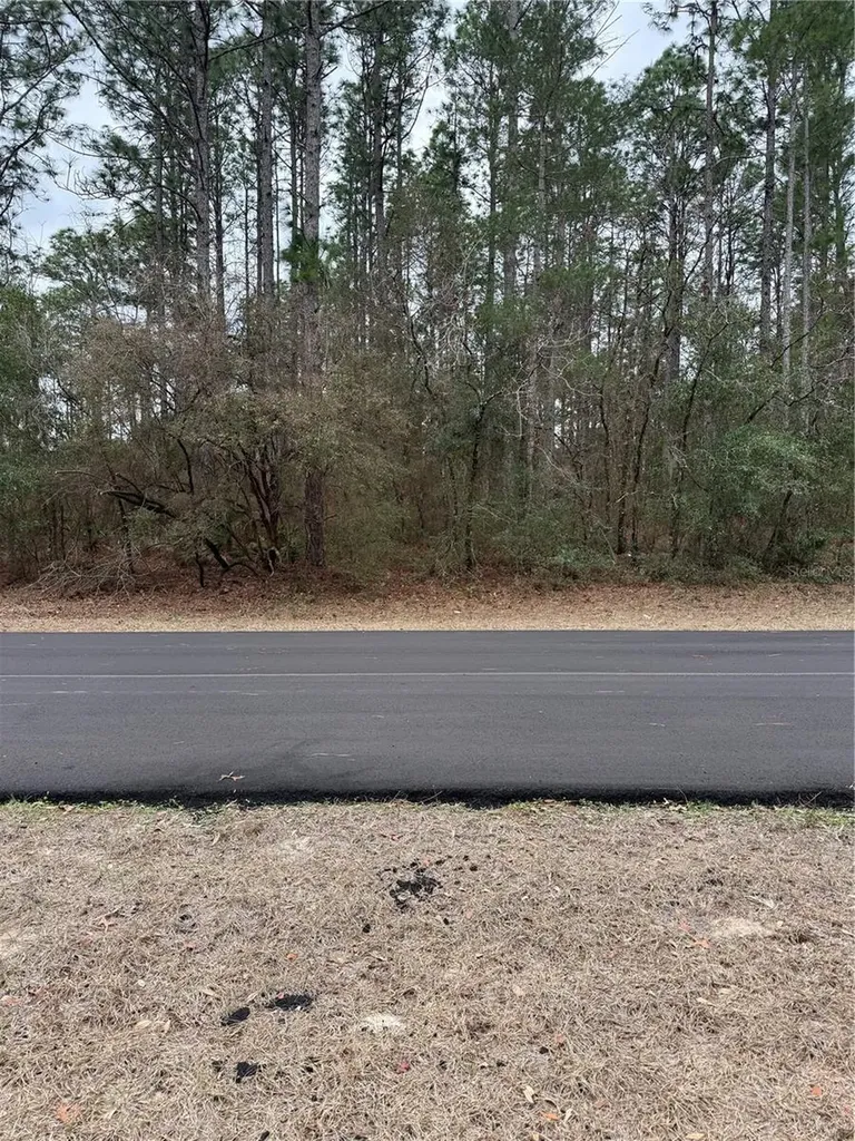 SW 135th Loop Ocala FL 34473