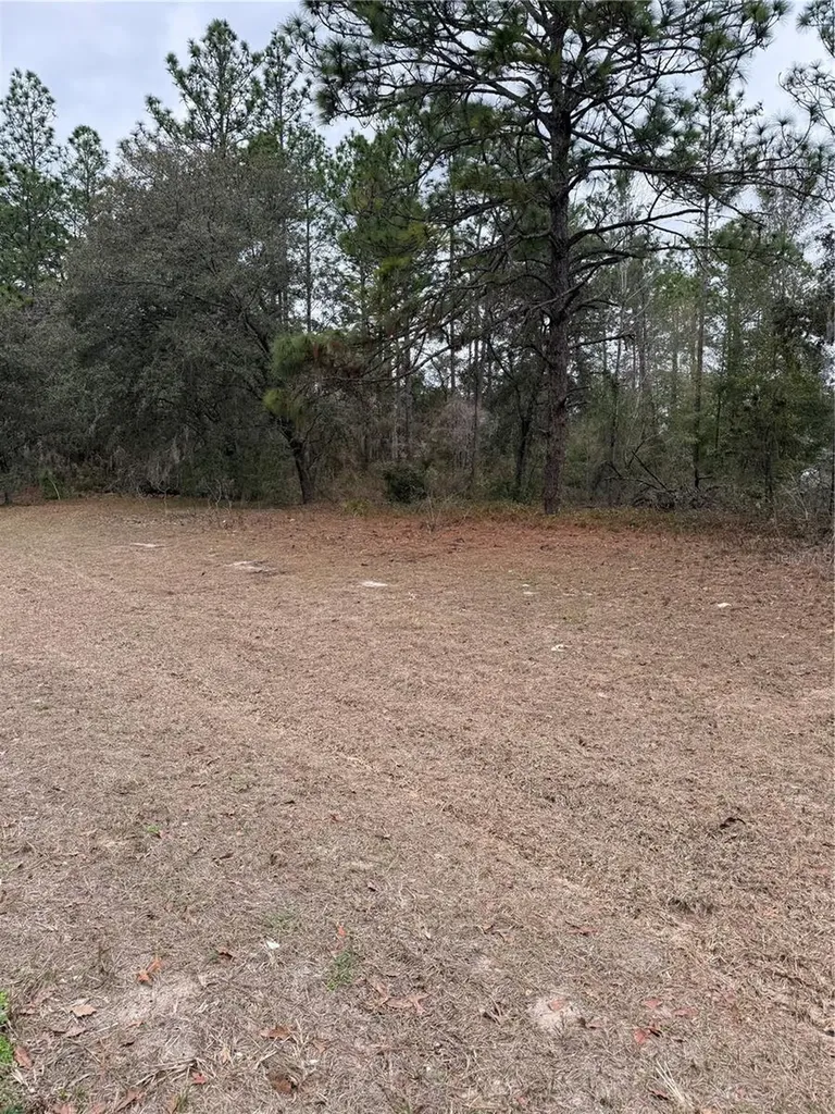 SW 135th Loop Ocala FL 34473