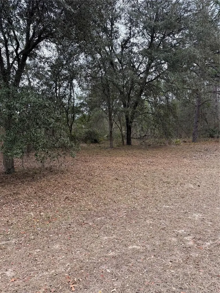 SW 135th Loop Ocala FL 34473