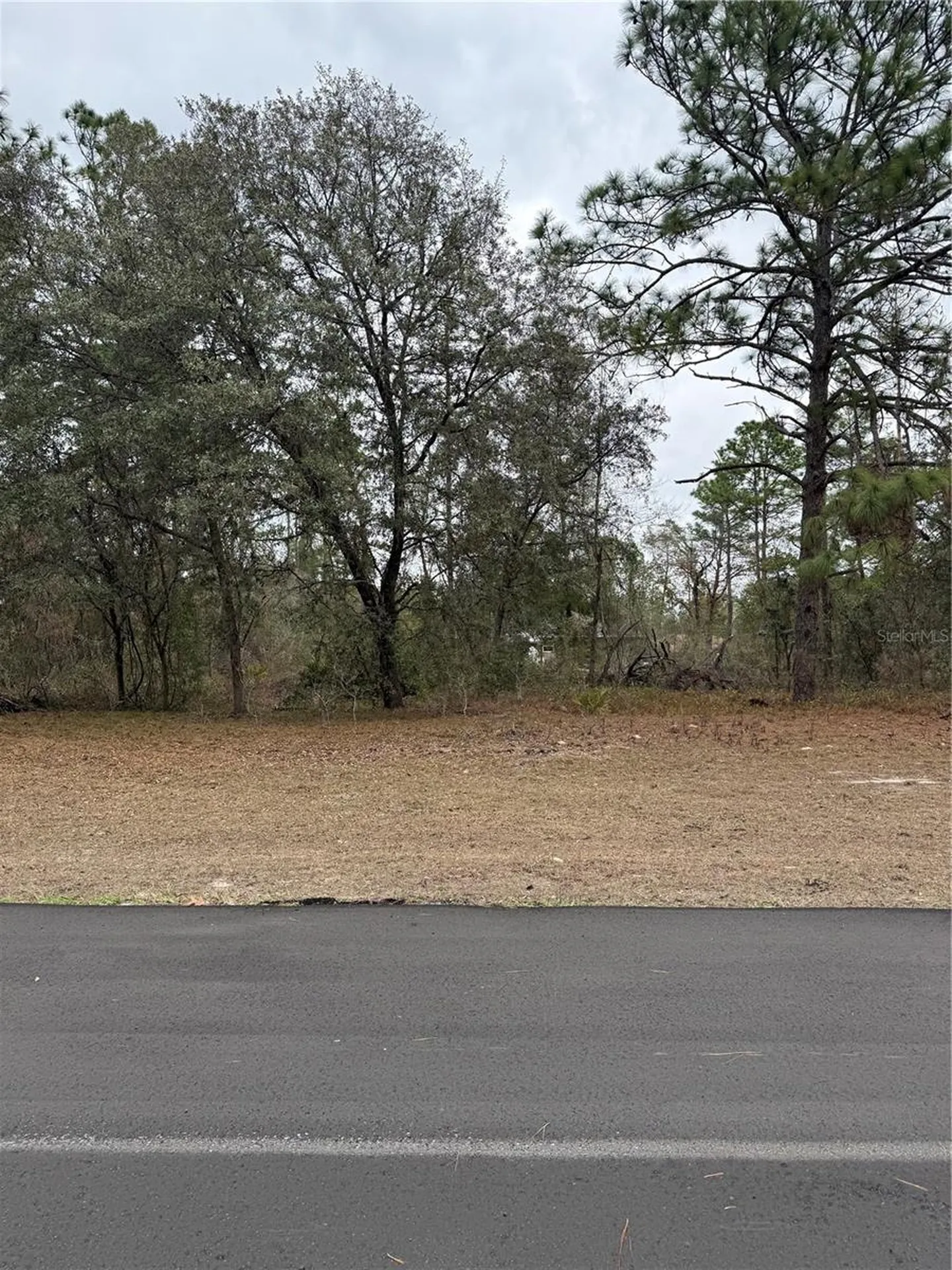 SW 135th Loop Ocala FL 34473