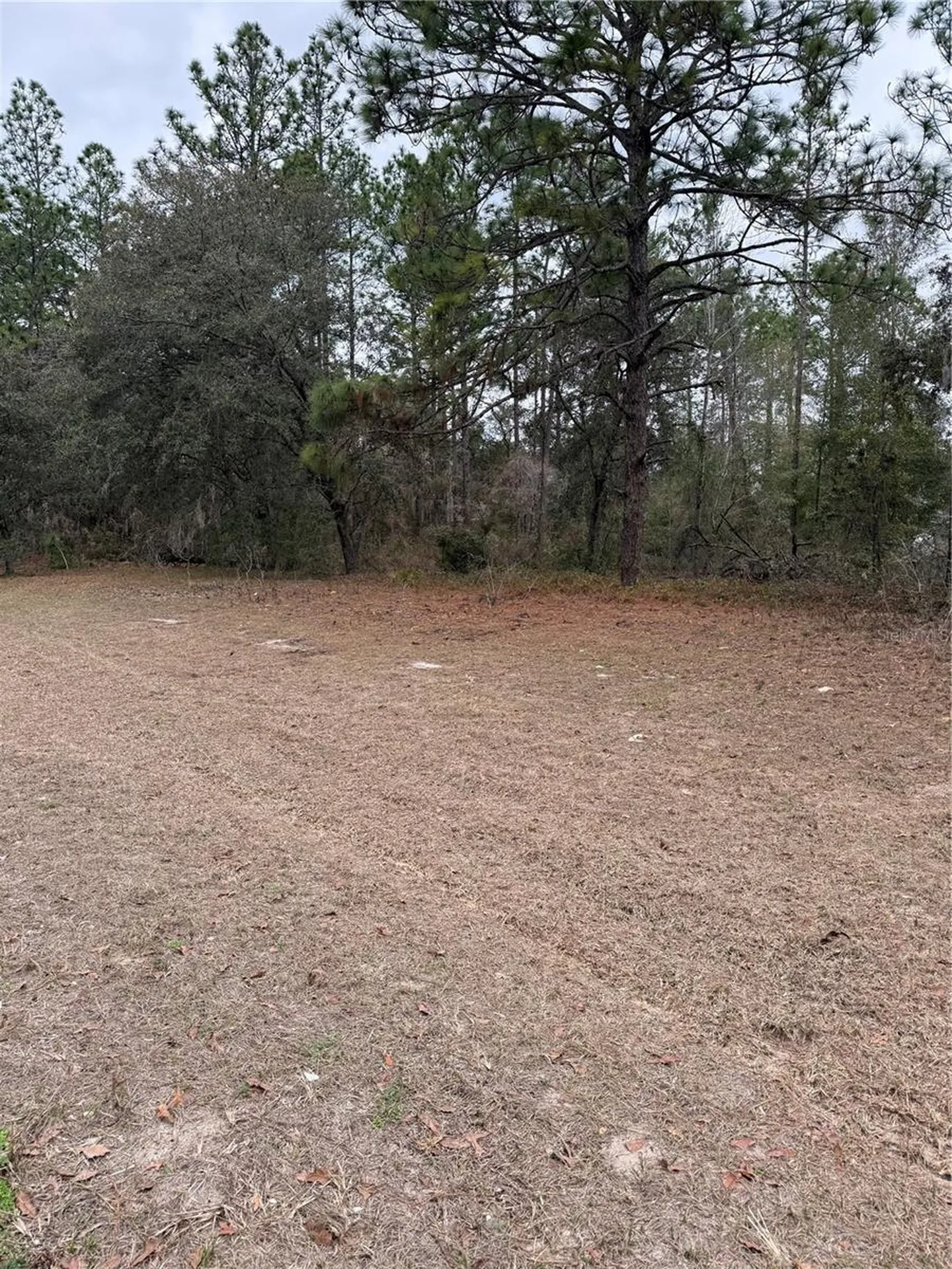 SW 135th Loop Ocala FL 34473