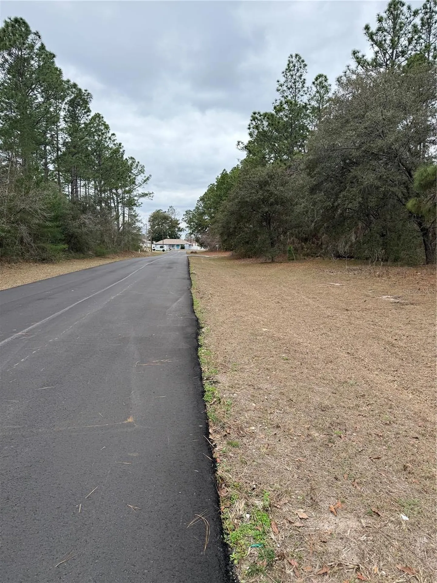 SW 135th Loop Ocala FL 34473