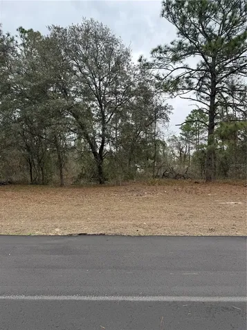 SW 135th Loop Ocala FL 34473